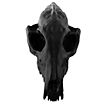 3D-printed fox skull for self-painting (16cm)